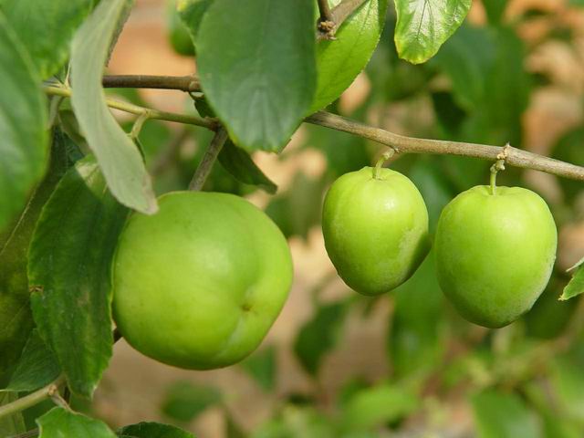 378025D499546.jpg 378025D499546.jpg