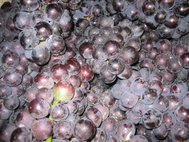 2B7C09269971.jpg 2B7C09269971.jpg