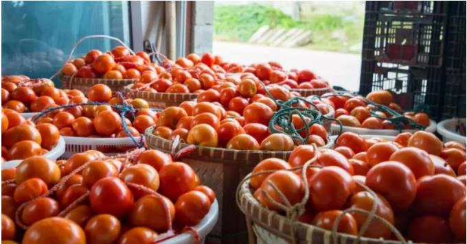 微信截圖_20210602095956.jpg 微信截圖_20210602095956.jpg