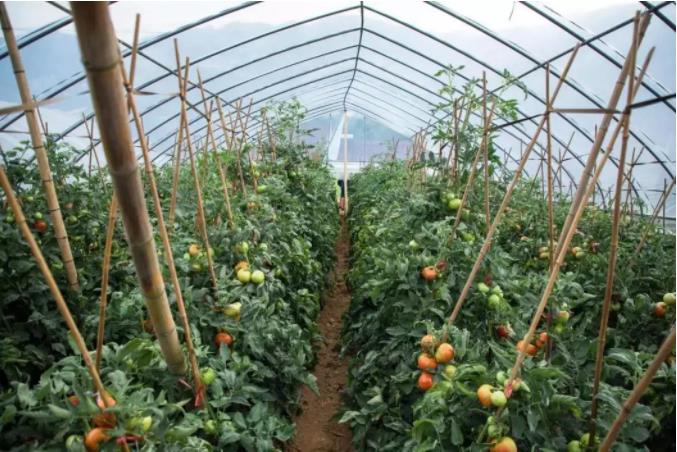 微信截圖_20210602095939.jpg 微信截圖_20210602095939.jpg