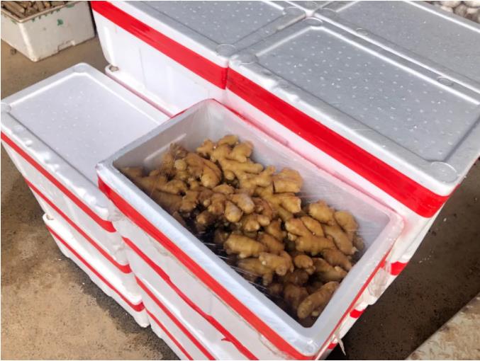 微信截圖_20210602111108.jpg 微信截圖_20210602111108.jpg