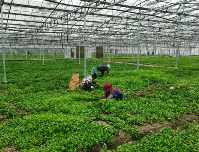 微信截圖_20210602113329.jpg 微信截圖_20210602113329.jpg