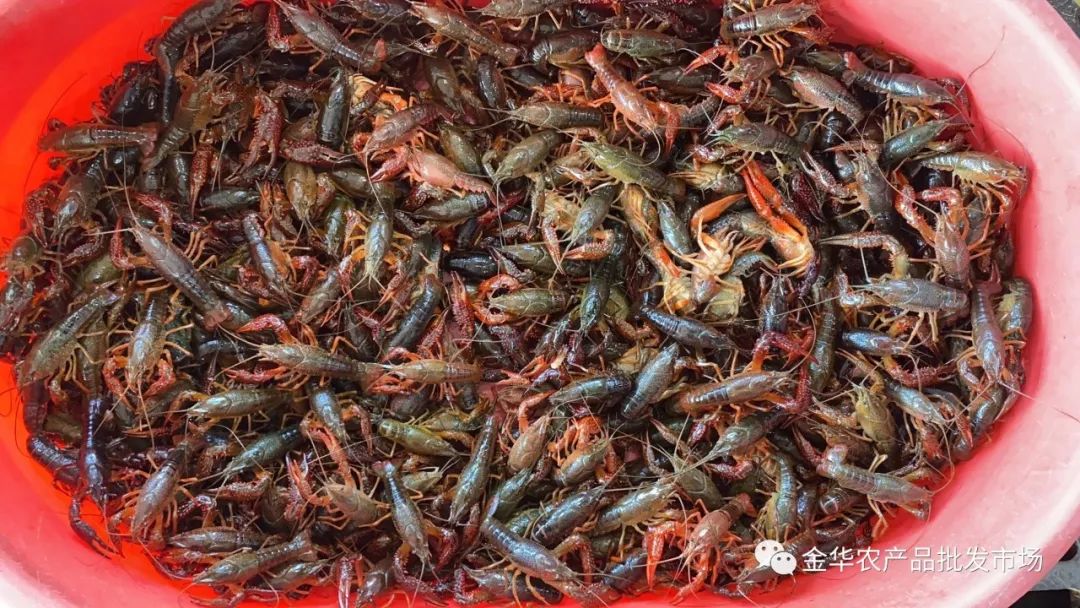 微信圖片_20220512082724.jpg 微信圖片_20220512082724.jpg