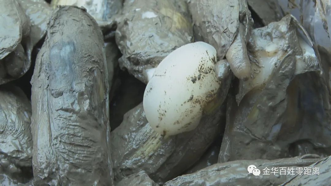 640 (1).jpg 640 (1).jpg