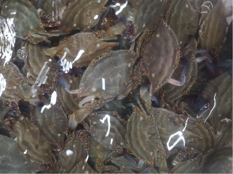 圖片4.png 圖片4.png