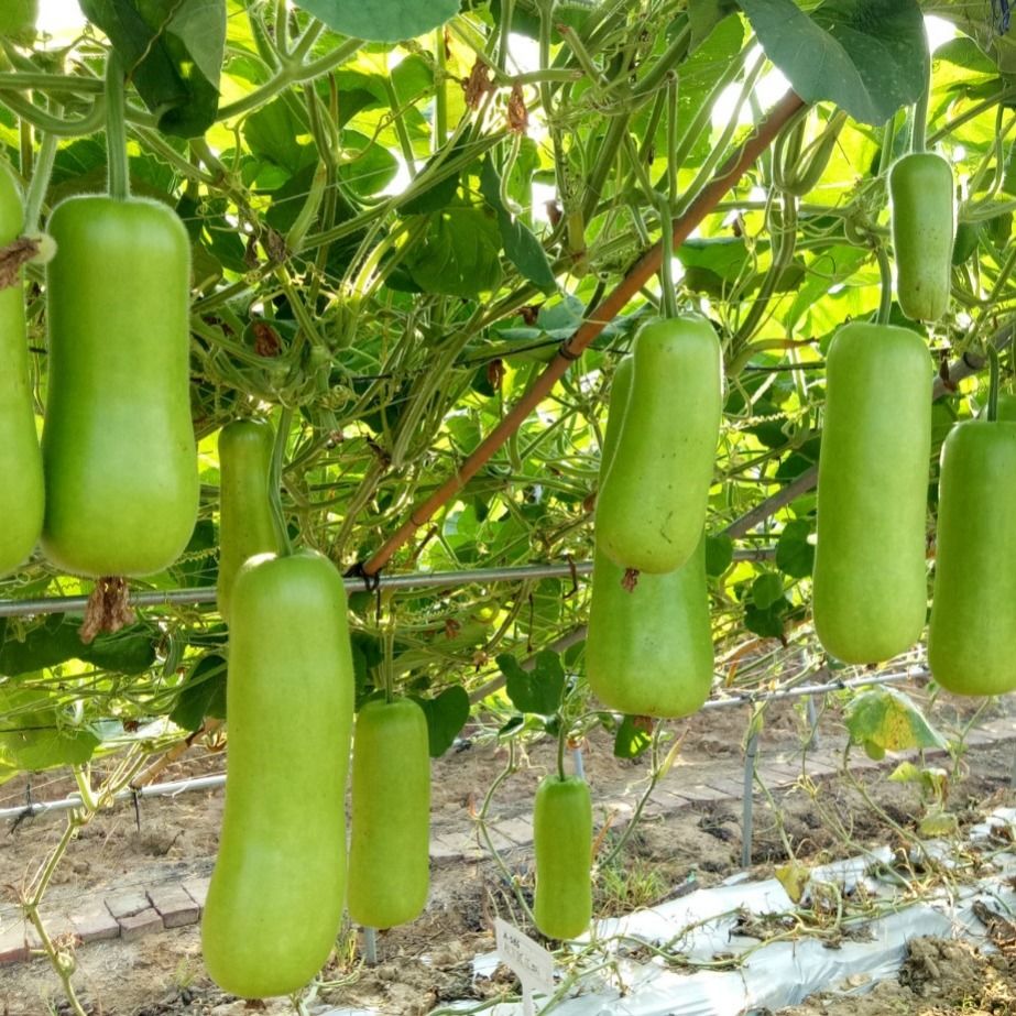 20220828_630b8068f303f.jpg 20220828_630b8068f303f.jpg