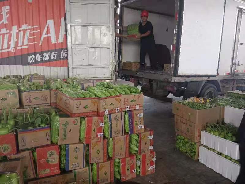 微信圖片_20230608160144.jpg 微信圖片_20230608160144.jpg