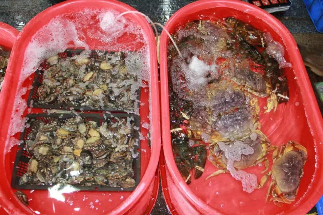 微信圖片_20230829085318_1.jpg 微信圖片_20230829085318_1.jpg