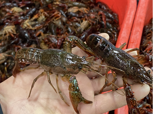 6ef2c83dc15193210da9c8e1634e74d8.png 6ef2c83dc15193210da9c8e1634e74d8.png